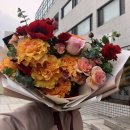 치악2호 이미지