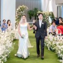 다르미앙 이미지