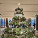 파라다이스호텔 | [부산파라다이스호텔 애프터눈티 후기]