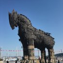 트로이샵