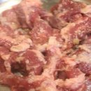 갈매기먹짱 이미지