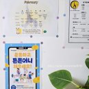 인애약국 - 고흥군 고흥로 4261 | 인애약국