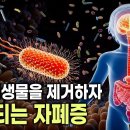 자폐증 치료의 새로운 열쇠 🦠 장내 미생물에서 찾을 수 있을까? | 자폐증 원인 연구 | 장내 미생물과 면역 매커니즘 이미지