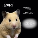 이월생농장 | 보령 아이와 가볼만한 곳 추천, 오소리커피농장 솔직 후기!