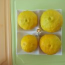 현옥농장 이미지