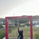 아쿠아워시경주