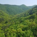 앞산공원 이미지