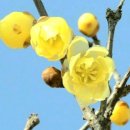 노안초등학교 이미지