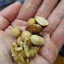 초석검도관 이미지