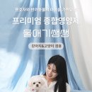 올디어