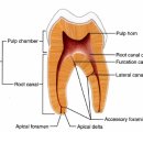 가락시장역 이미지