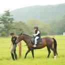 하늘목장 이미지