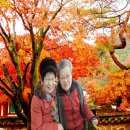 연희노인문화센터 이미지