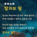 링클스탑의원 이미지