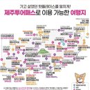 나비청과마트 | 아이랑 제주여행 - 김포공항주차비 할인, 에어서울, 조아렌트카, 코나ev 렌트, 제주패스 후기