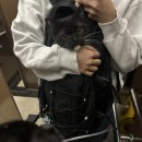 DS동물병원 이미지