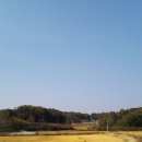 도라산농장 이미지