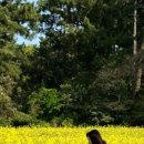 헤드홈탐라 이미지