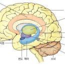수면과해독 이미지
