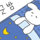엘리펀 주식회사 이미지
