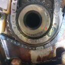 그린카프라자 이미지