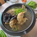 도깨비정원 이미지