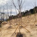 매곡3차산업단지내 이미지