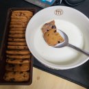 종수목장 | 8월 1주차 일상