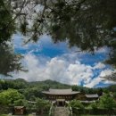 유명산캠핑장 이미지