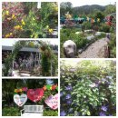 용문농장 이미지