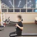 안녕피티 이미지