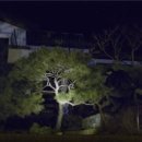 솔로몬자동차 이미지