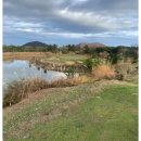 억대부동산공인중개사사무소 이미지