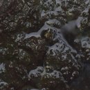 모락로 | 우리 집 하수구, 언제부터 이렇게 속을 썩이는 걸까요?