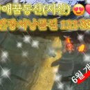 금어농장 이미지