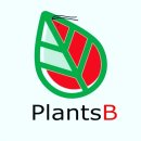 플랜츠비 이미지