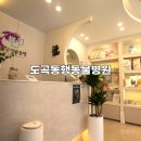 도곡동행동물병원 이미지