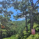 민스펜션 | 깔끔하고 가성비 좋은 거제 민스펜션 2박 후기