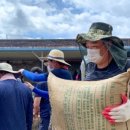 금지면 용전마을 이미지