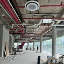 한국엠바이오(주) 이미지