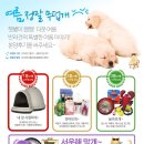 대형견프리미엄아울렛 이미지