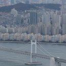 땅집고부동산공인중개사사무소 네이버블로그