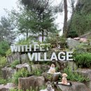 위드펫 빌리지 이미지