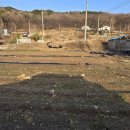 두마농장 이미지