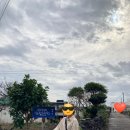 별바당 이미지