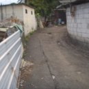 샘재로 1 이미지