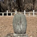 의령 수도사 석탑 및 승탑군 이미지