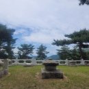 태실농장 이미지