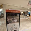 펜션레스트(REST휴식) | 까사미아 스타필드 코엑스몰점 팝업 컴포레스트 안마의자 &amp; 리클라이너 체험 후기