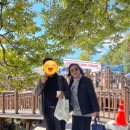 장암 송죽 억새길 | [서울 도봉] &lt;도봉 북한산 국립공원&gt;에서 살포시 맛본 가을, 도봉 북한산 국립공원에 관한 정보 알림...